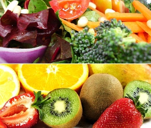 Regras da alimentação Regras da alimentação