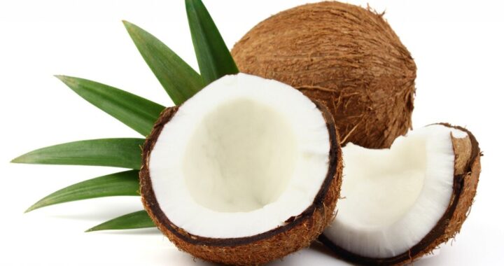 Gelado de coco sem açúcar