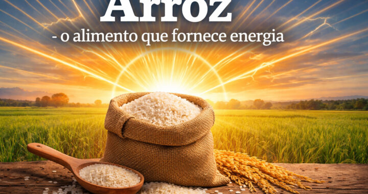 Arroz - o alimento que fornece energia sem gordura