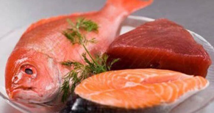 Os peixes e a quantidade de mercúrio