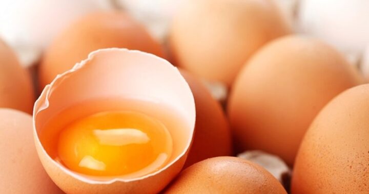 Cuidados a ter com os ovos