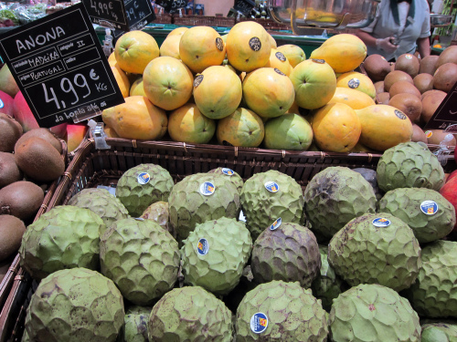 Anona - Fonte de Fibra Anona - Fonte de Fibra