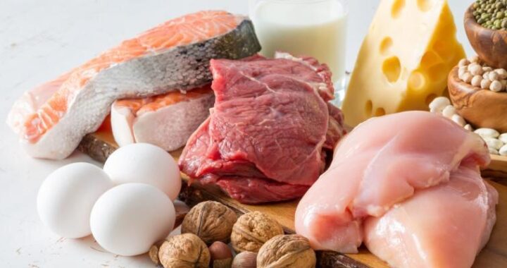 Quantos gramas de proteína precisa por dia?