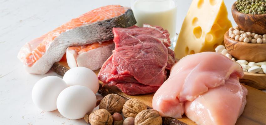 Quantos gramas de proteína precisa por dia?