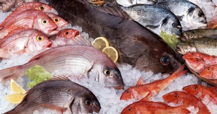 Os peixes mais saudaveis para a saude