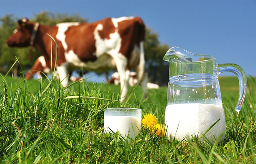 Alternativas ao leite de vaca