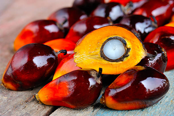 fruto óleo palma