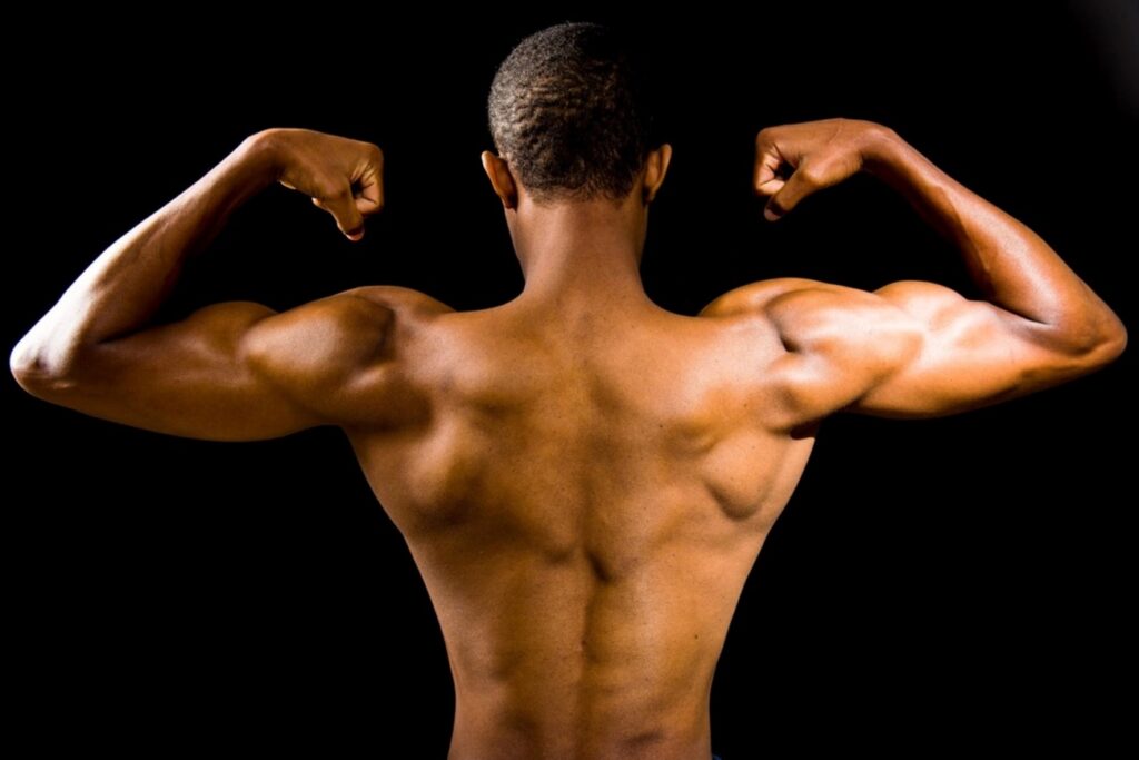 A relevância da testosterona na hipertrofia muscular