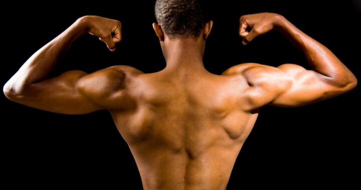 A relevância da testosterona na hipertrofia muscular 1