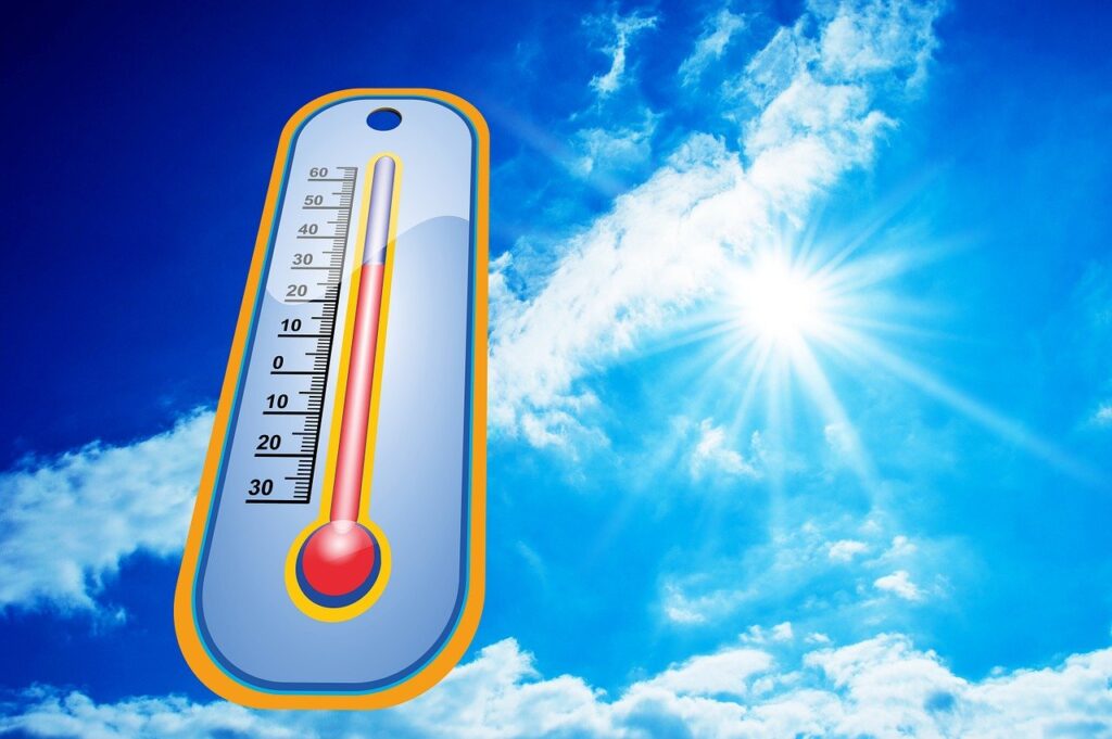 5 Comidas e Bebidas a Evitar nas Ondas de Calor
