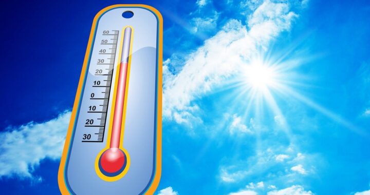 5 Comidas e Bebidas a Evitar nas Ondas de Calor