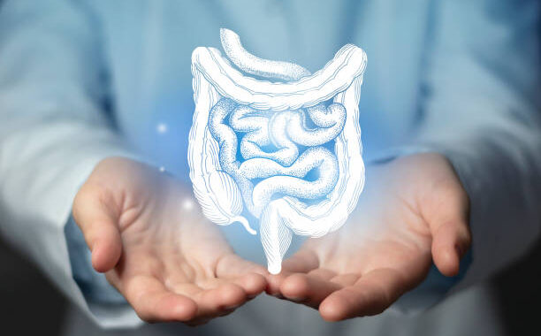 O Papel da Microbiota Intestinal no Controlo do Peso