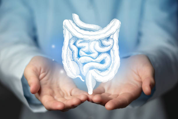 O Papel da Microbiota Intestinal no Controlo do Peso